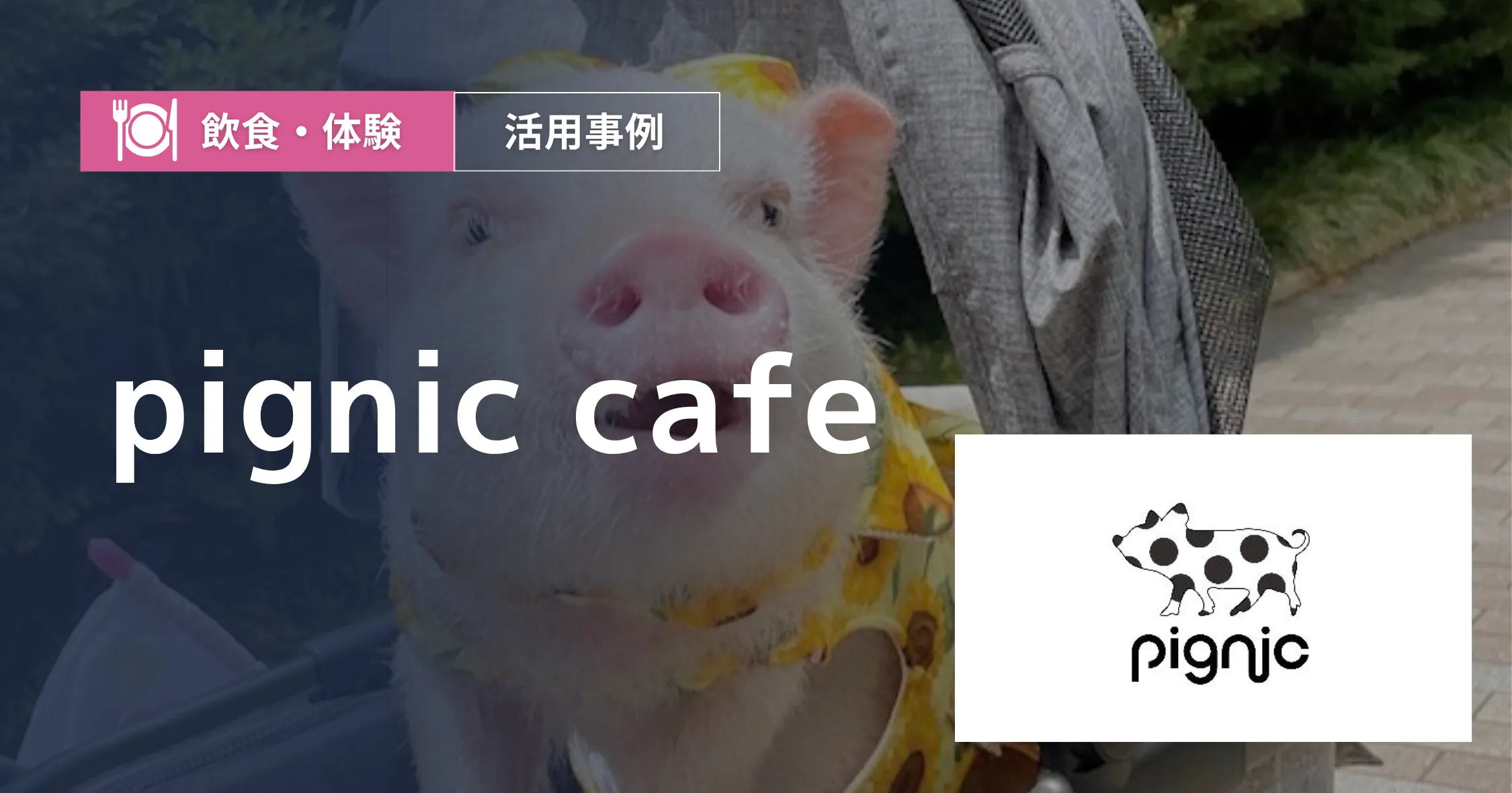 pignic cafe 導入事例 アイキャッチ