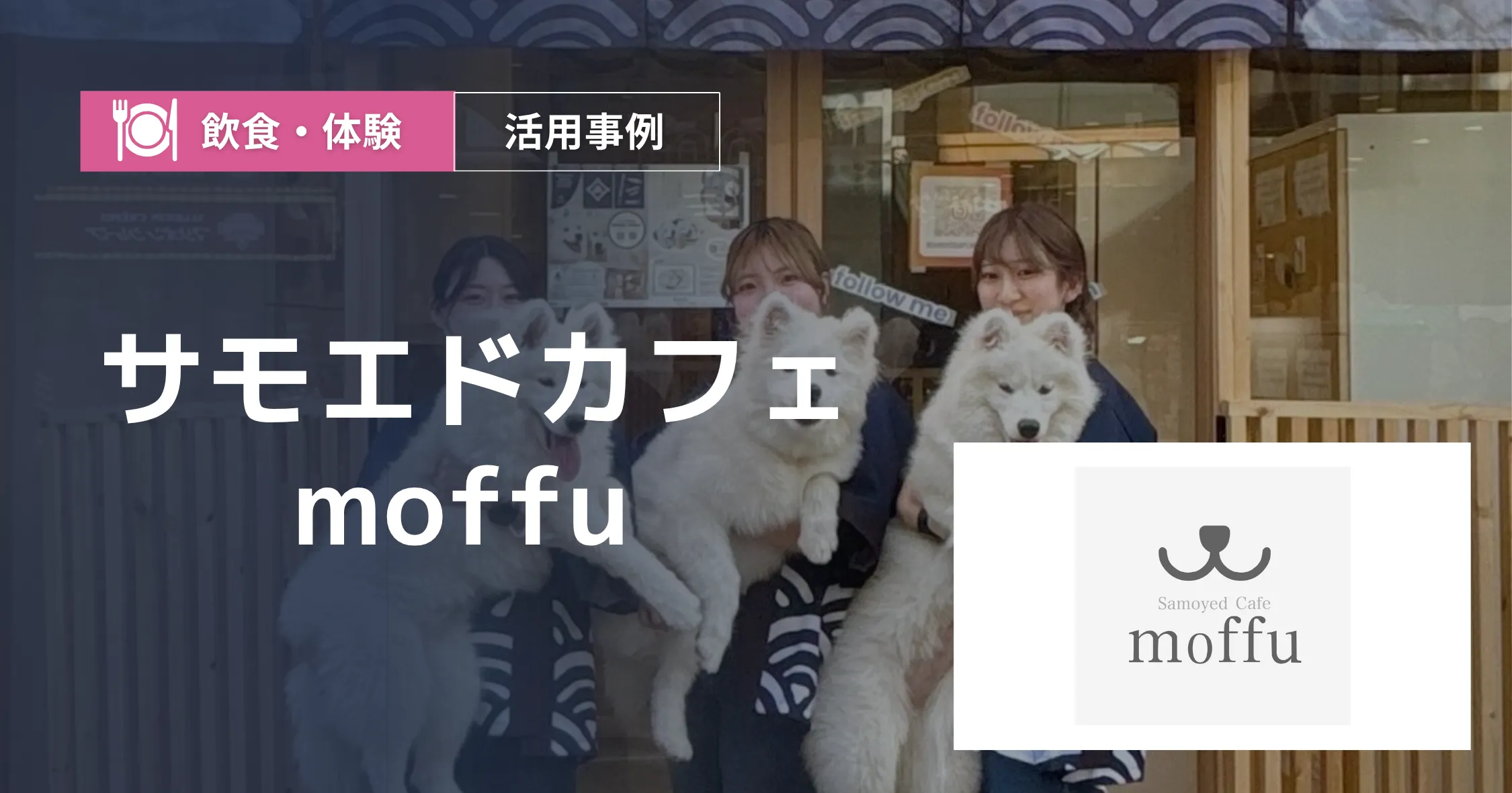 サモエドカフェ moffu 導入事例アイキャッチ